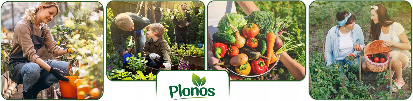 Tomido fóliovník 250x400cm (10m²) zelený 9